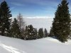 muehleck_18_0